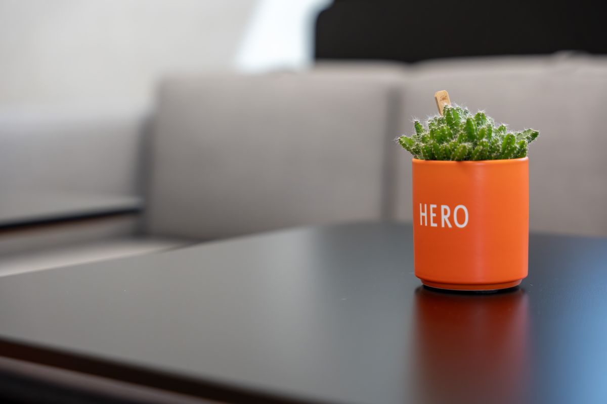 Eine moderne und zeitgemäße Bürowelt mit viel Gemütlichkeit