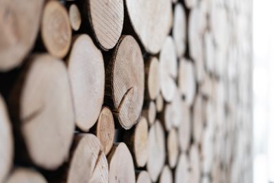 Kreative Wandverkleidung - ein individuelles Gestaltungselement